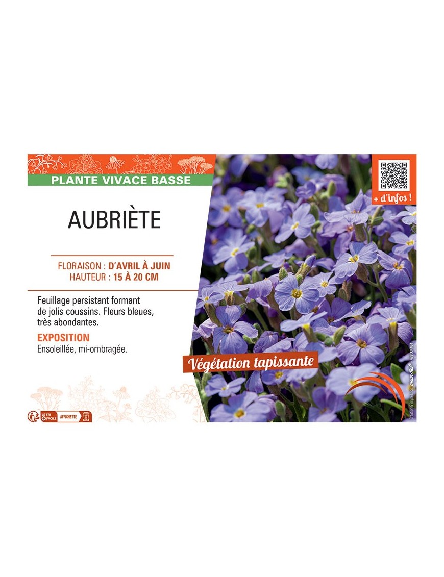 AUBRIETE (bleu)
