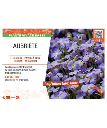 AUBRIETE (bleu)