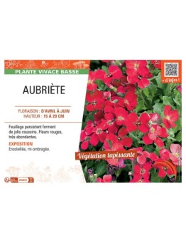 AUBRIETE (rouge)