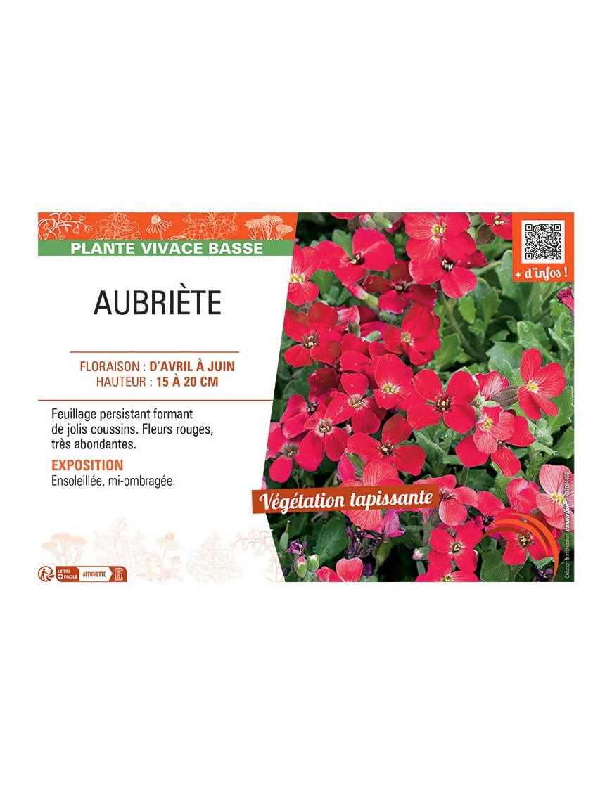 AUBRIETE (rouge)