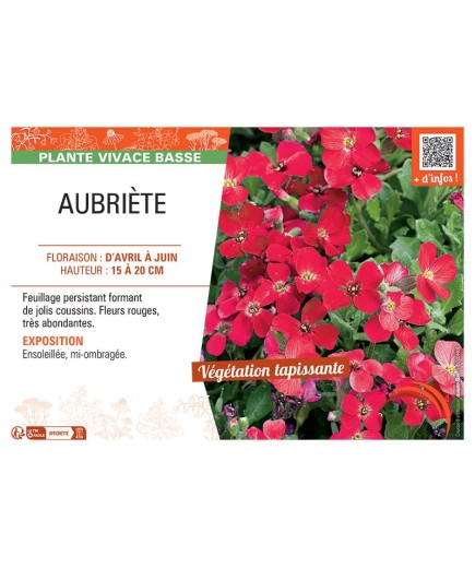 AUBRIETE (rouge)