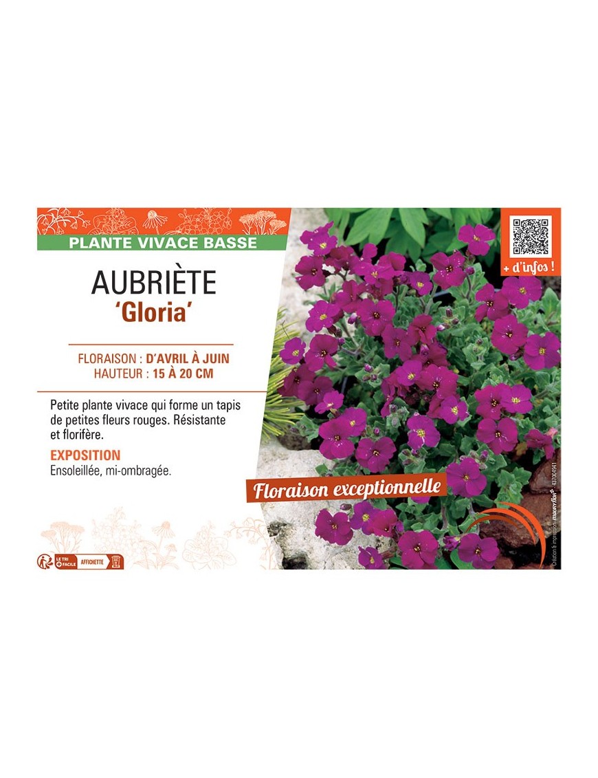 AUBRIETE GLORIA