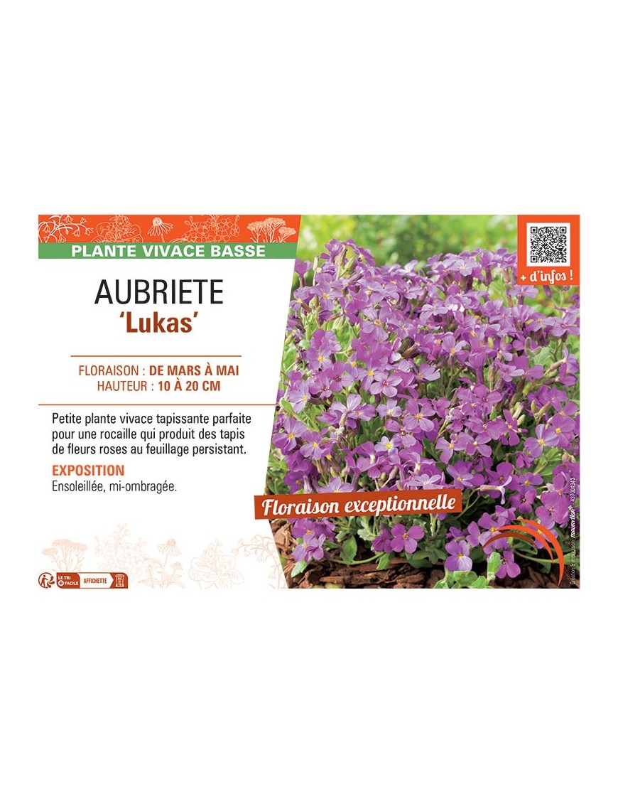 AUBRIETE LUKAS