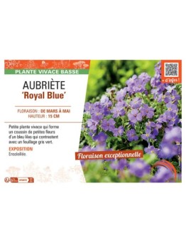 AUBRIETE ROYAL BLUE