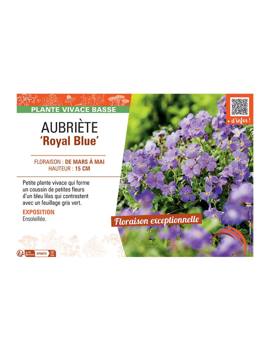 AUBRIETE ROYAL BLUE