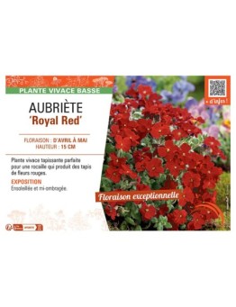 AUBRIETE ROYAL RED