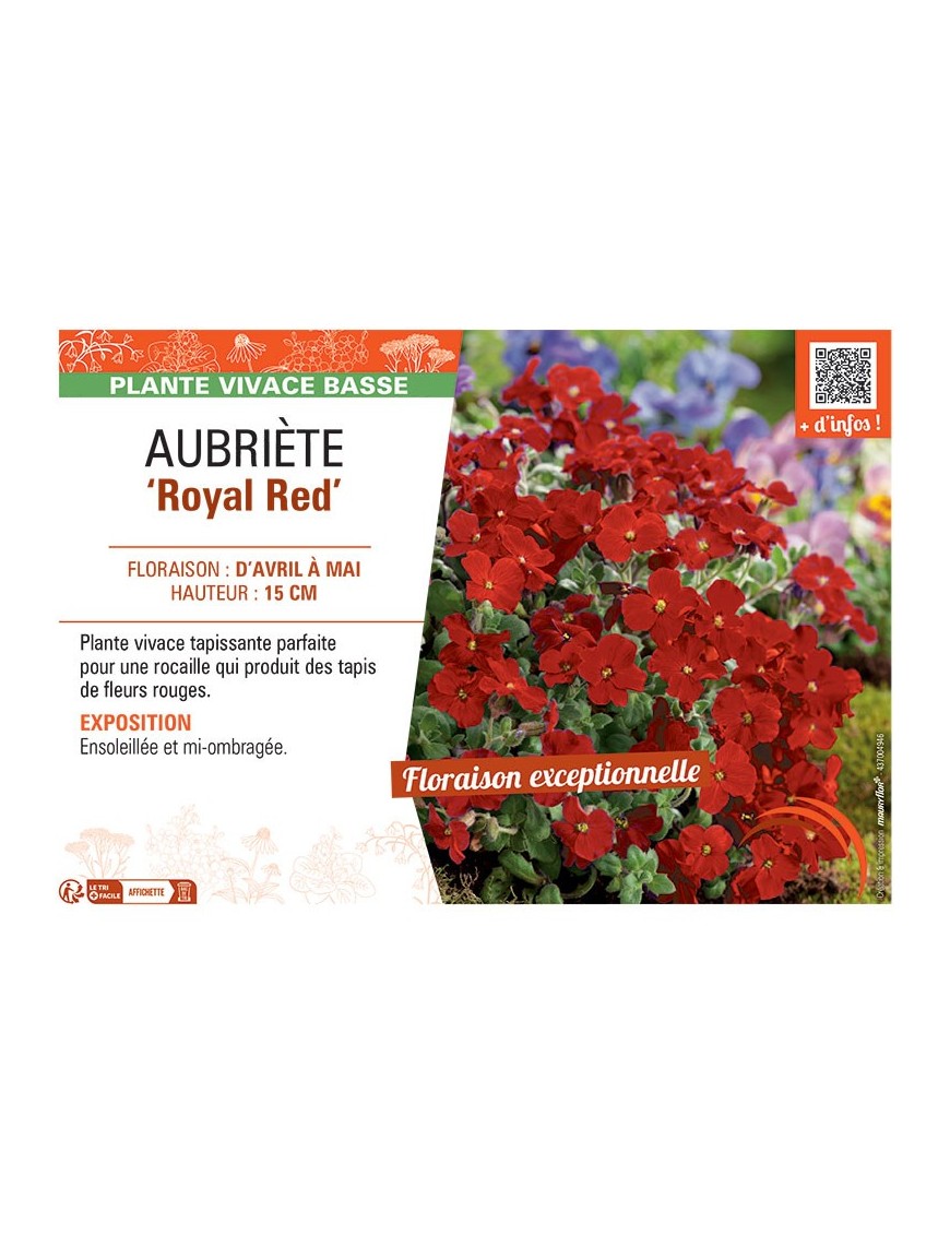 AUBRIETE ROYAL RED