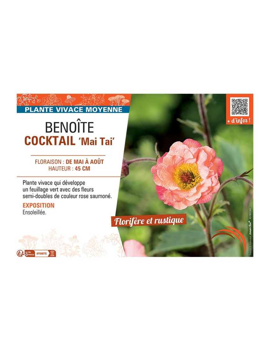 BENOITE COCKTAIL MAI TAI