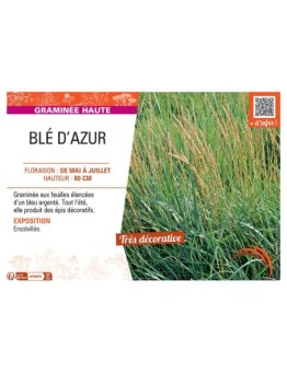 BLE D'AZUR