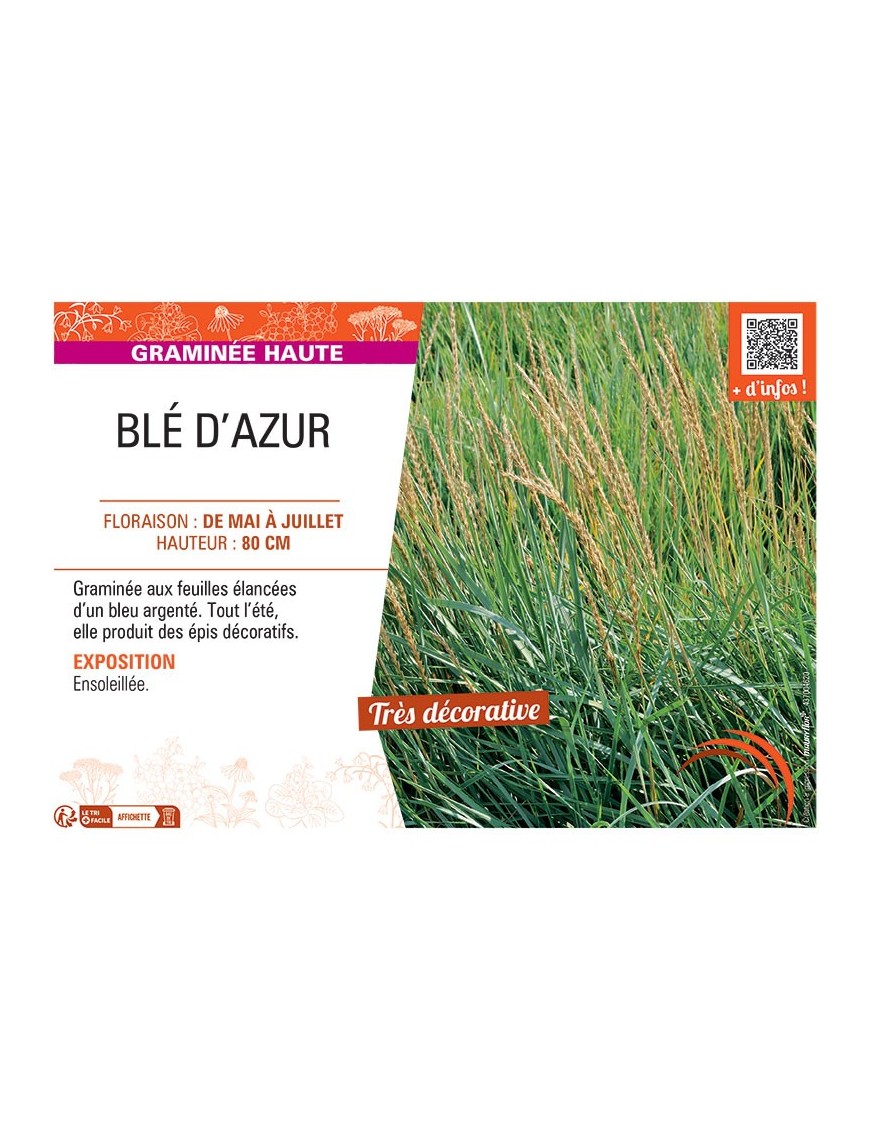 BLE D'AZUR