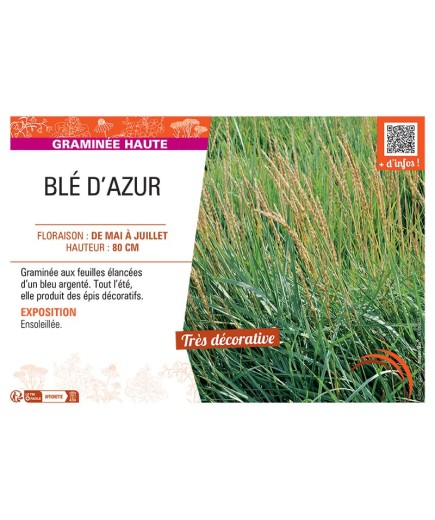BLE D'AZUR