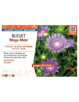 BLEUET MEGA MELS