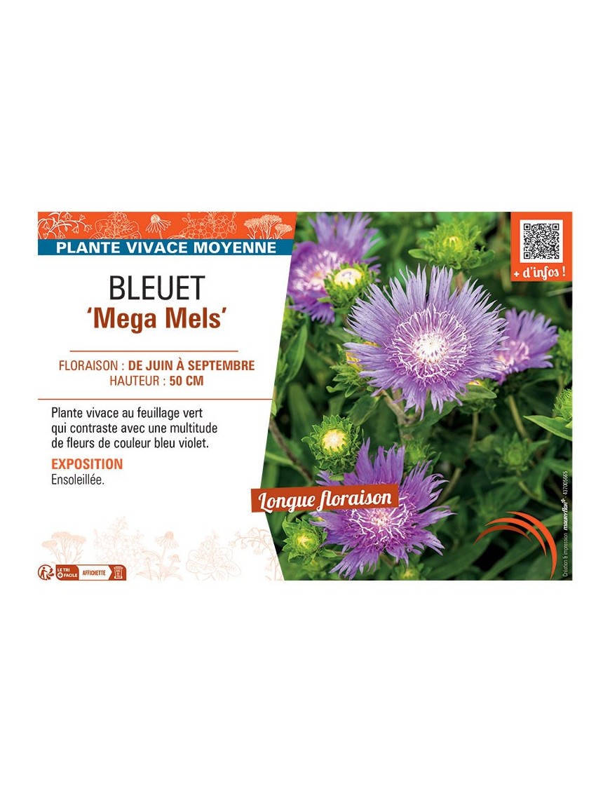BLEUET MEGA MELS