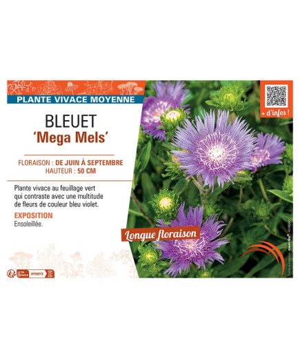 BLEUET MEGA MELS