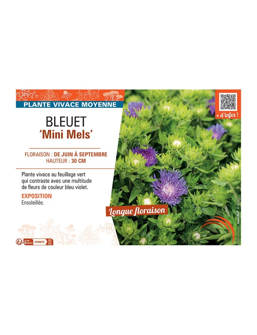 BLEUET MINI MELS