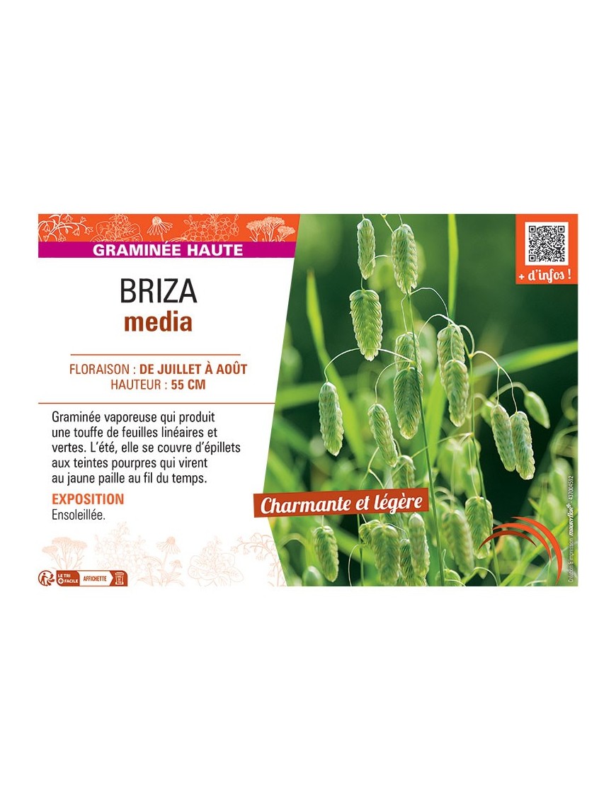 BRIZA MEDIA