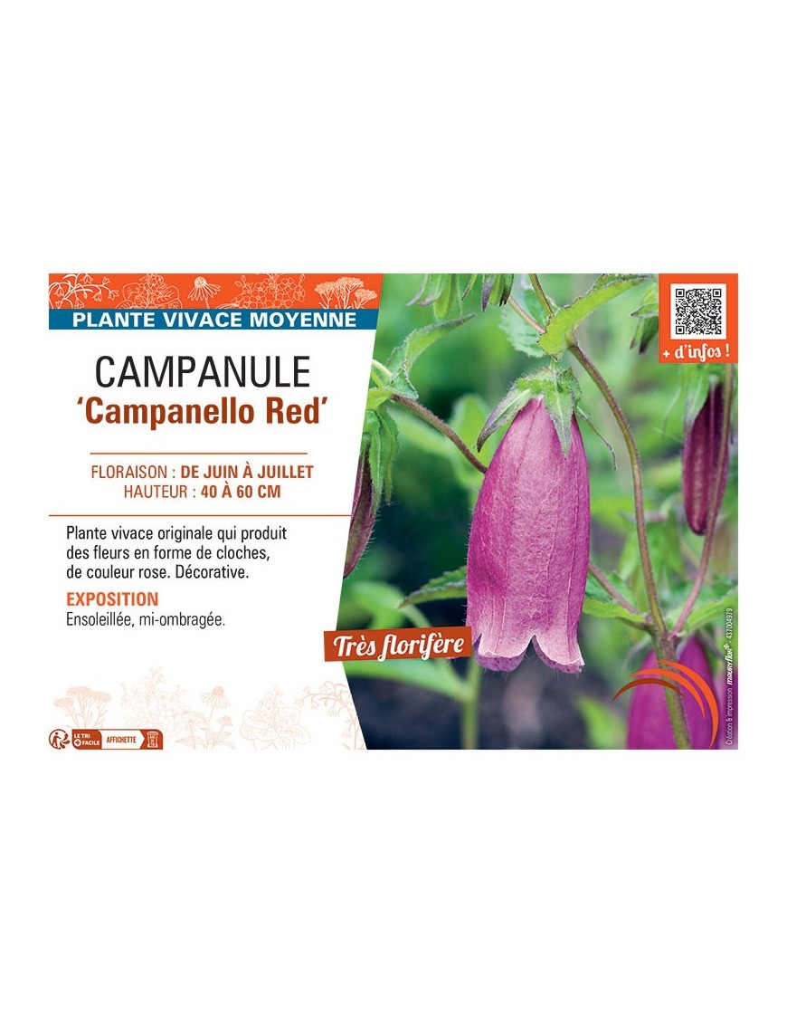 CAMPANULE CAMPANELLO RED