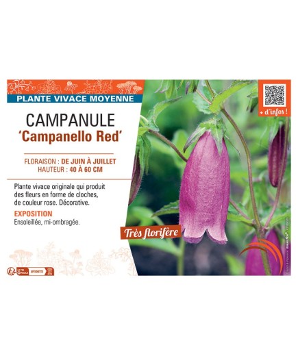 CAMPANULE CAMPANELLO RED