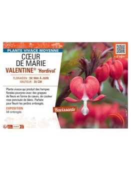 CŒUR DE MARIE VALENTINE®