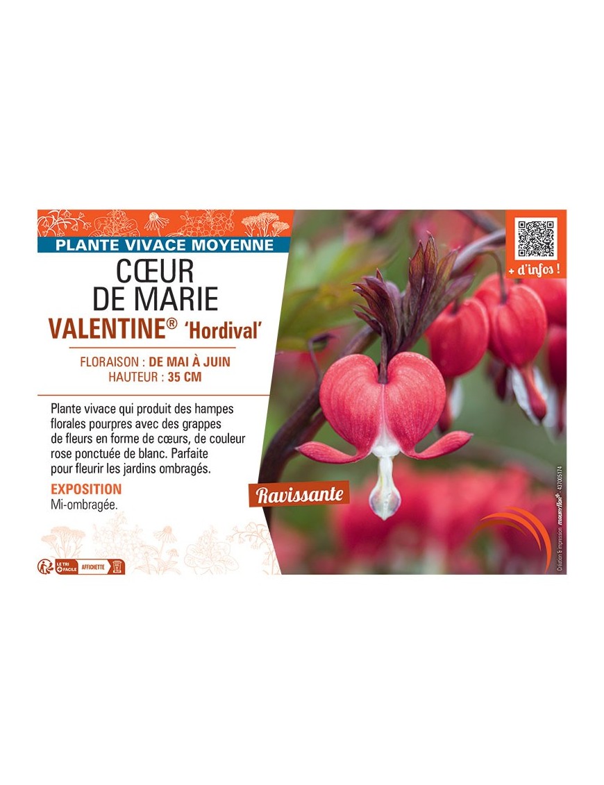 CŒUR DE MARIE VALENTINE®
