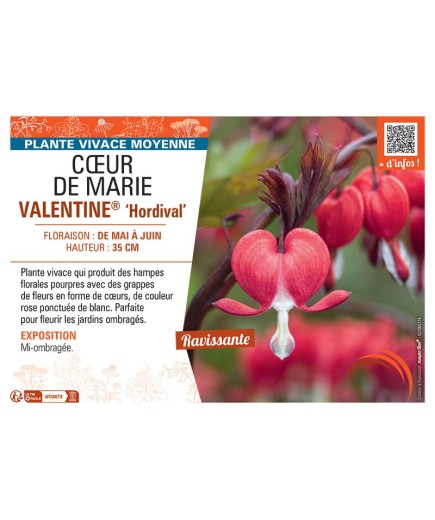 CŒUR DE MARIE VALENTINE®