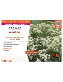 CRAMBE MARITIME