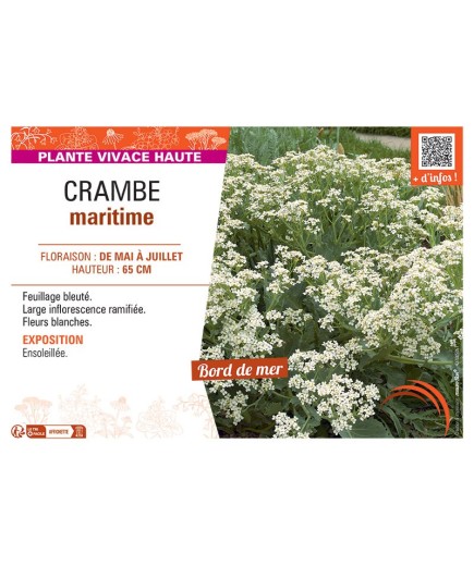 CRAMBE MARITIME
