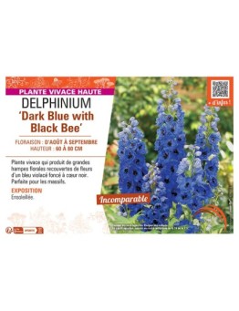 DELPHINIUM DARK BLUE WITH BLACK BEE