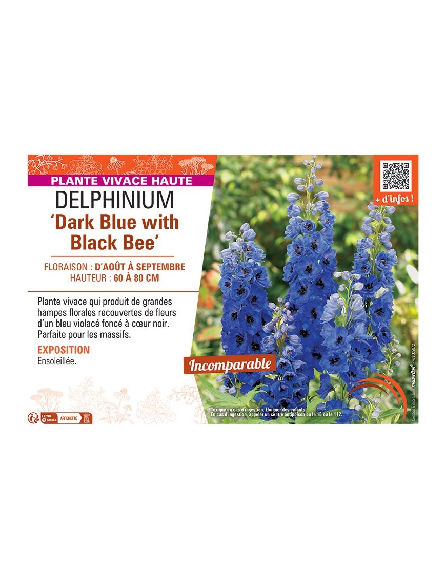 DELPHINIUM DARK BLUE WITH BLACK BEE