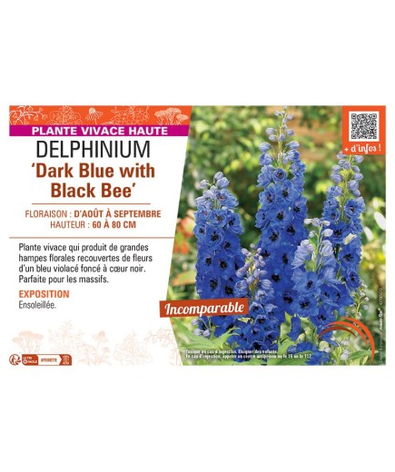 DELPHINIUM DARK BLUE WITH BLACK BEE