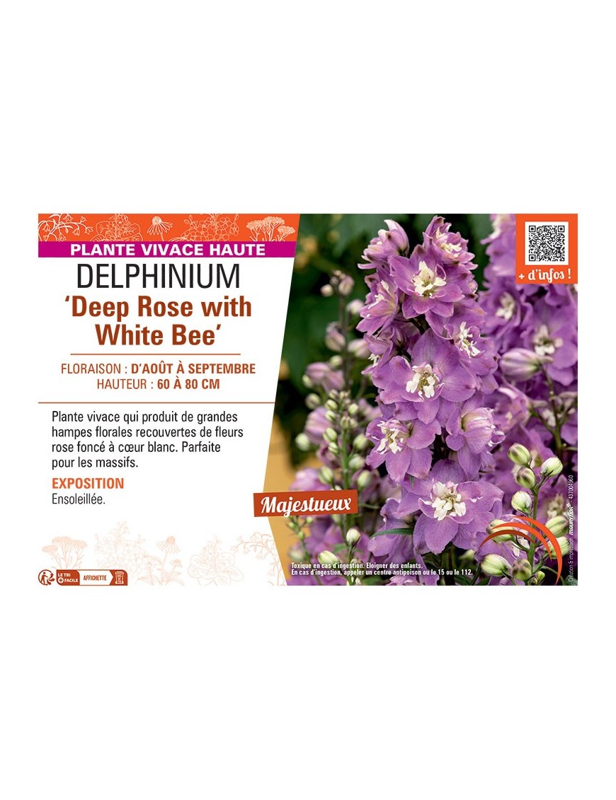 DELPHINIUM DEEP ROSE WITH WHITE BEE