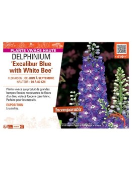 DELPHINIUM EXCALIBUR BLUE WITH WHITE BEE