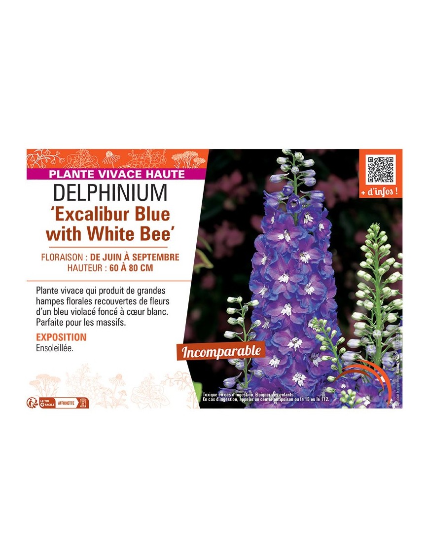 DELPHINIUM EXCALIBUR BLUE WITH WHITE BEE