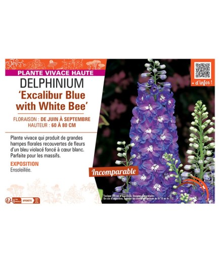 DELPHINIUM EXCALIBUR BLUE WITH WHITE BEE