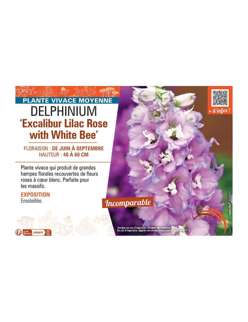 DELPHINIUM EXCALIBUR LILAC ROSE WITH WHITE BEE