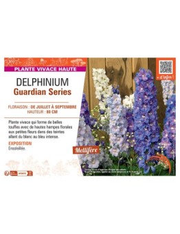 DELPHINIUM GUARDIAN SERIES
