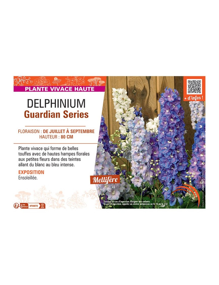 DELPHINIUM GUARDIAN SERIES