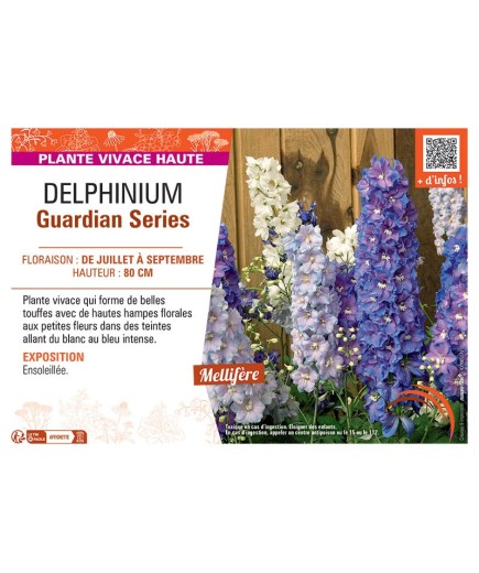 DELPHINIUM GUARDIAN SERIES