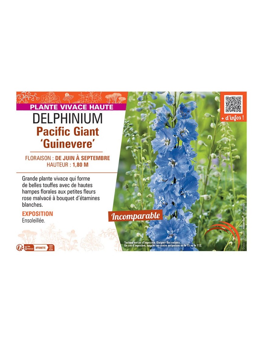 DELPHINIUM PACIFIC GIANT GUINEVERE