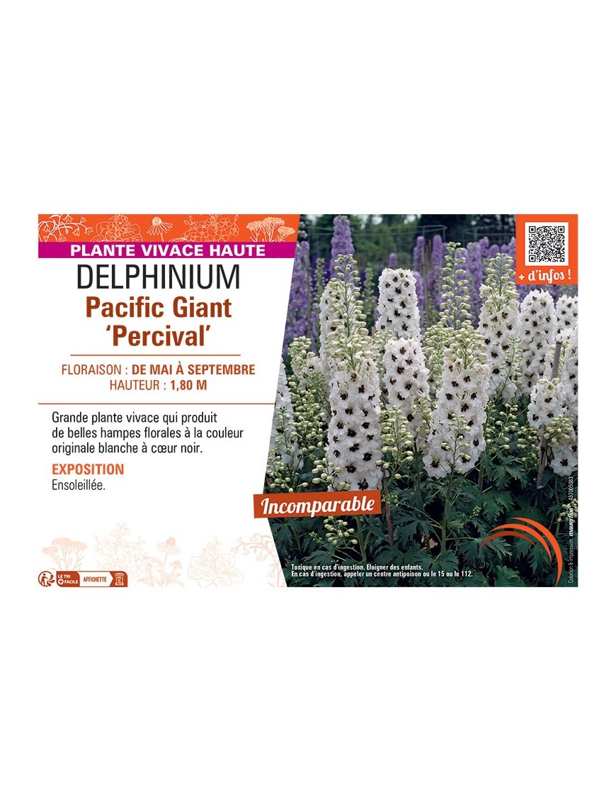 DELPHINIUM PACIFIC GIANT PERCIVAL