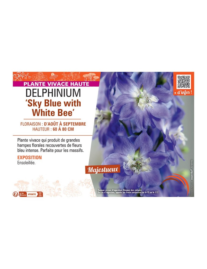 DELPHINIUM SKY BLUE WITH WHITE BEE