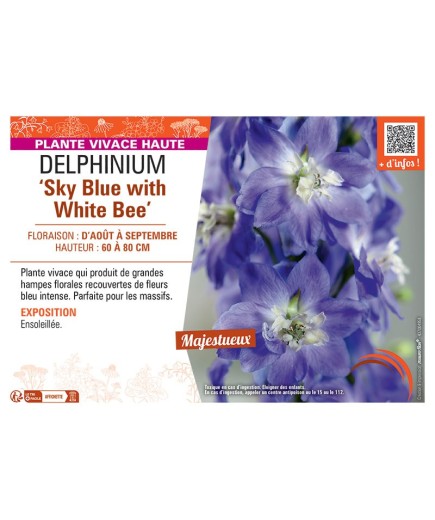 DELPHINIUM SKY BLUE WITH WHITE BEE