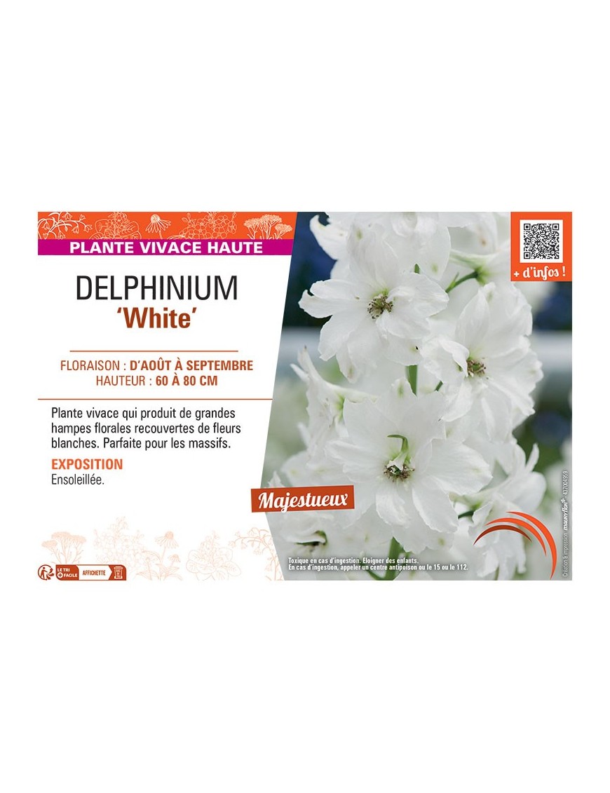 DELPHINIUM WHITE