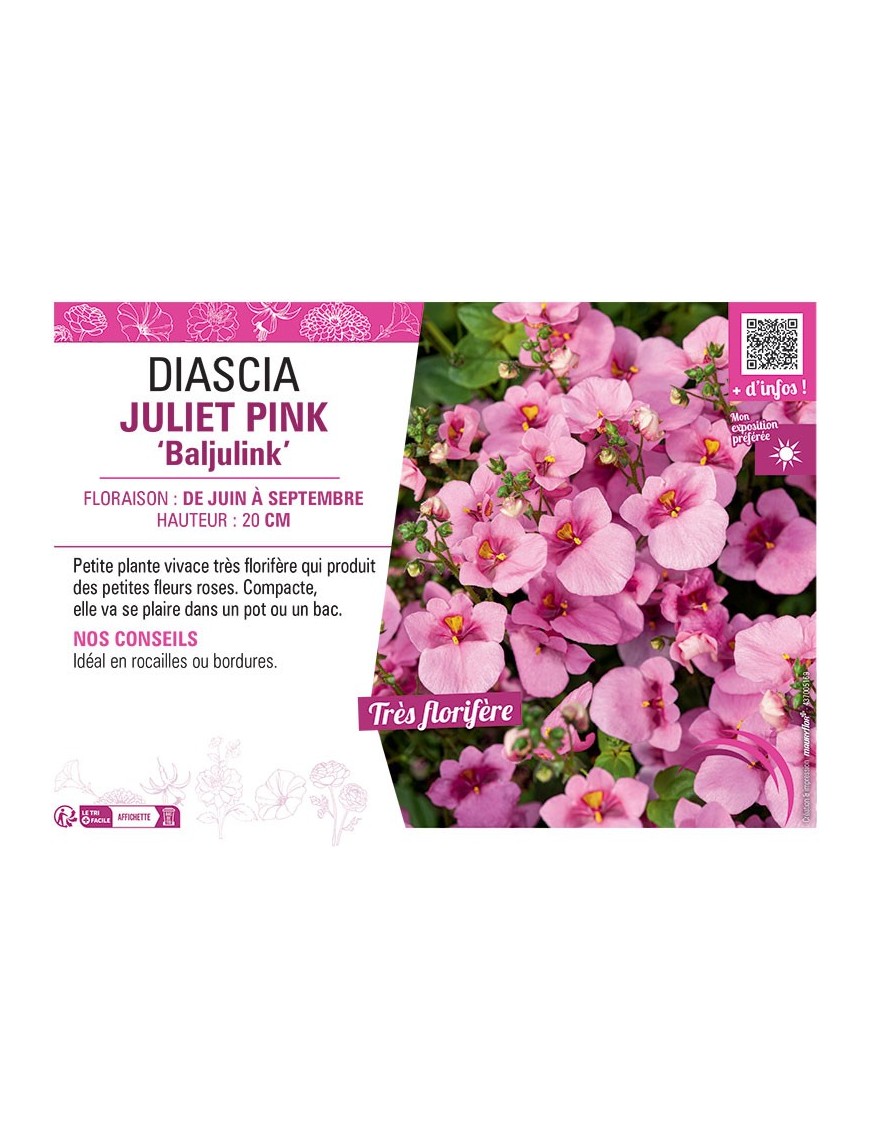 DIASCIA JULIET PINK BALJULINK