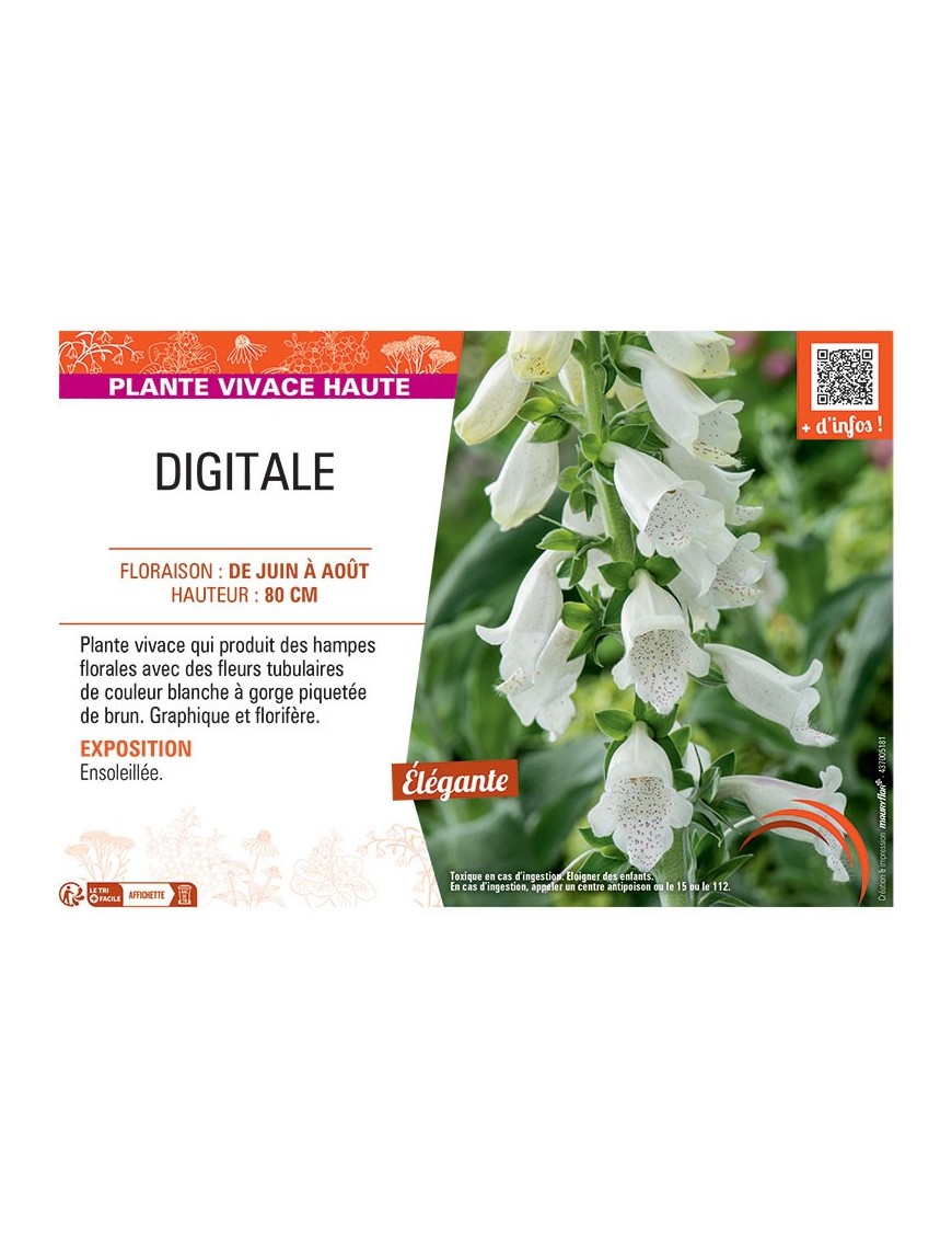 DIGITALE (blanche)