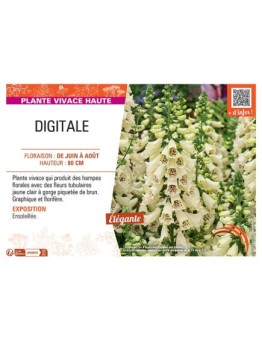 DIGITALE (jaune clair)