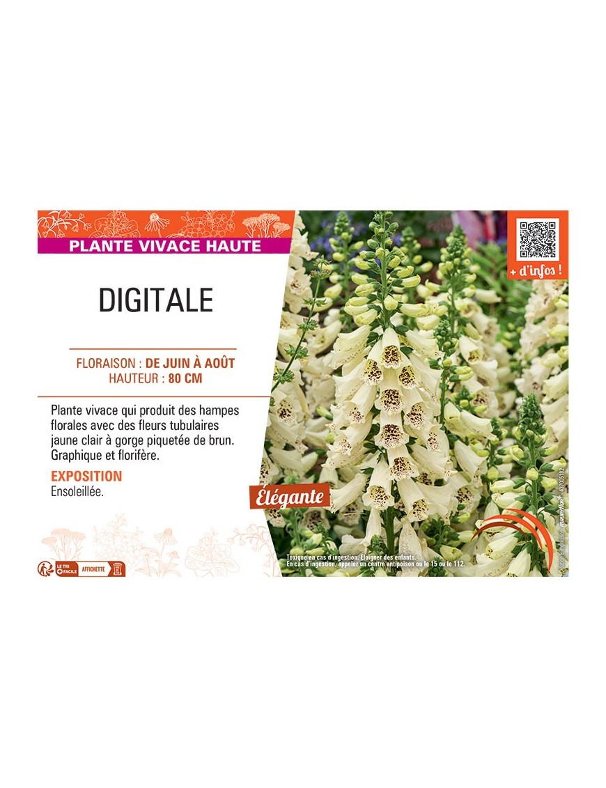 DIGITALE (jaune clair)