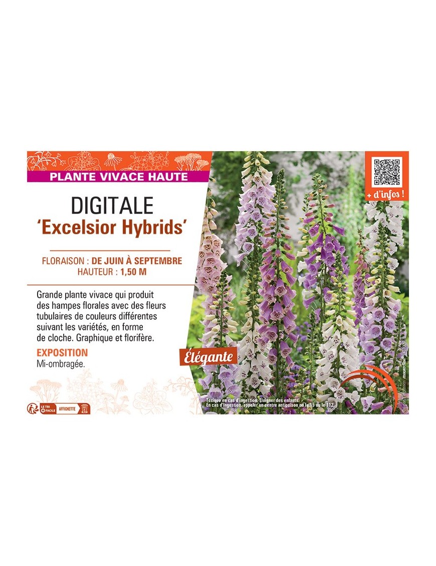 DIGITALE EXCELSIOR HYBRIDS