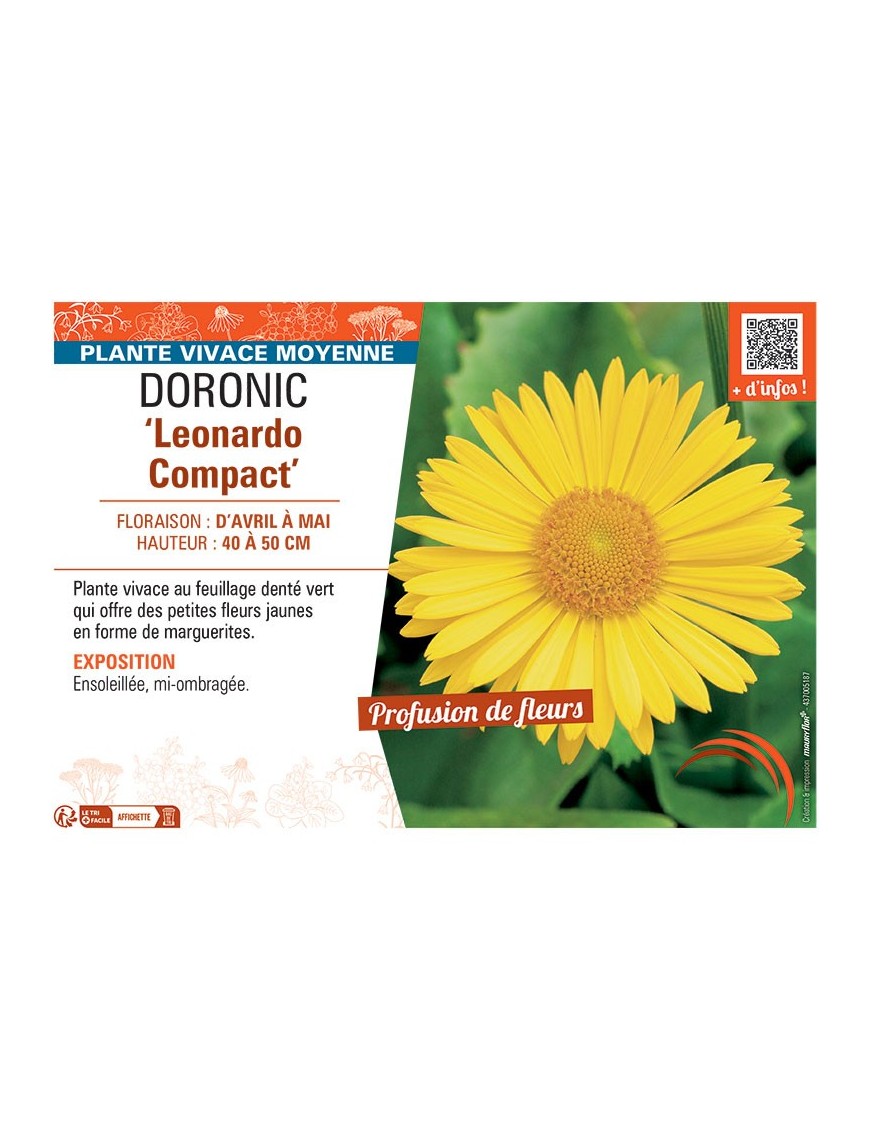 DORONIC LEONARDO COMPACT