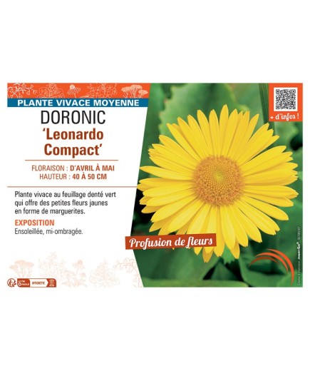 DORONIC LEONARDO COMPACT
